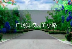 广场舞校园的小路