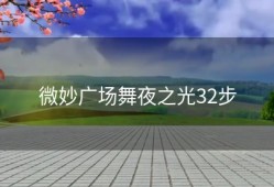 微妙广场舞夜之光32步