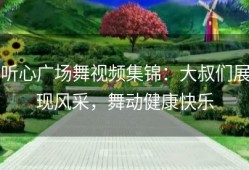 听心广场舞视频集锦：大叔们展现风采，舞动健康快乐