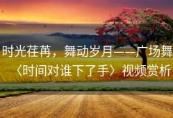 时光荏苒，舞动岁月——广场舞〈时间对谁下了手〉视频赏析