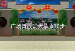 广场舞放爱大草原16步