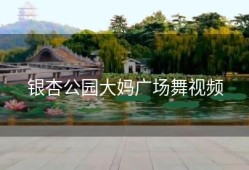 银杏公园大妈广场舞视频