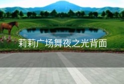 莉莉广场舞夜之光背面