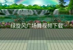 绿旋风广场舞视频下载