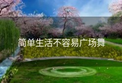 简单生活不容易广场舞