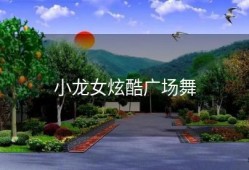 小龙女炫酷广场舞