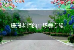 珊珊老师的广场舞专辑