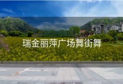 瑞金丽萍广场舞街舞