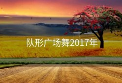 队形广场舞2017年