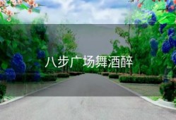 八步广场舞酒醉