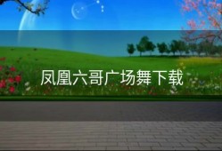 凤凰六哥广场舞下载