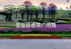 萱萱原香草广场舞