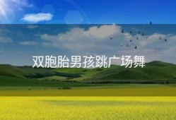 双胞胎男孩跳广场舞