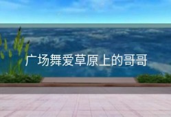 广场舞爱草原上的哥哥