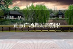 萱萱广场舞爱的期限