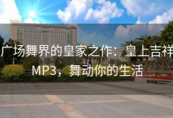 广场舞界的皇家之作：皇上吉祥MP3，舞动你的生活