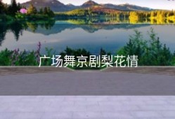 广场舞京剧梨花情