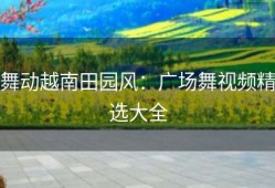 舞动越南田园风：广场舞视频精选大全