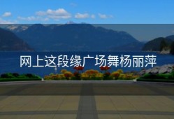 网上这段缘广场舞杨丽萍