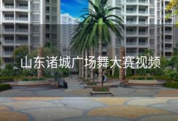 山东诸城广场舞大赛视频