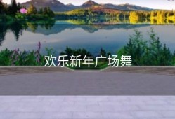 欢乐新年广场舞
