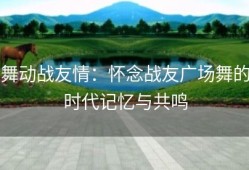 舞动战友情：怀念战友广场舞的时代记忆与共鸣