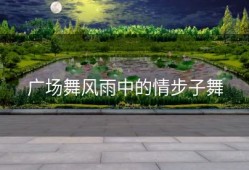 广场舞风雨中的情步子舞