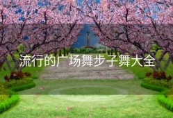 流行的广场舞步子舞大全