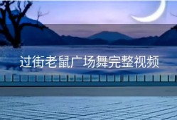 过街老鼠广场舞完整视频