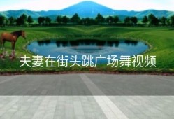 夫妻在街头跳广场舞视频