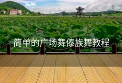 简单的广场舞傣族舞教程
