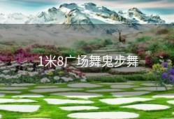 1米8广场舞鬼步舞