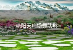 艳阳天广场舞队形