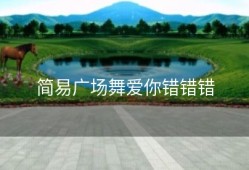 简易广场舞爱你错错错