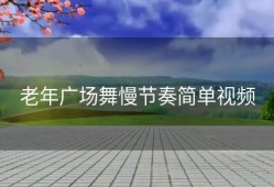 老年广场舞慢节奏简单视频