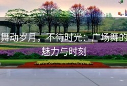 舞动岁月，不待时光：广场舞的魅力与时刻