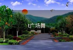 t广场舞