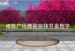 傣族广场舞歌曲快节奏教学