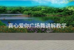 真心爱你广场舞讲解教学