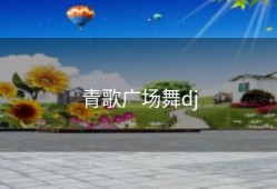 青歌广场舞dj