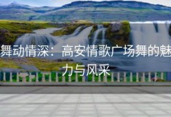 舞动情深：高安情歌广场舞的魅力与风采