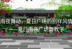 雨夜舞动，夏日广场的别样风情——夏日雨夜广场舞教学