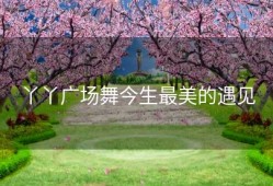 丫丫广场舞今生最美的遇见