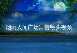 烟雨人间广场舞慢镜头视频