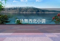 广场舞西北小调