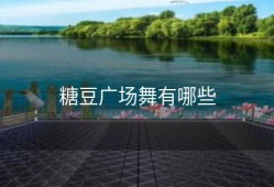 糖豆广场舞有哪些