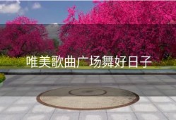 唯美歌曲广场舞好日子