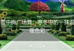 雪中梅广场舞：寒冬中的一抹温暖色彩