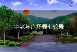 中老年广场舞七轮舞