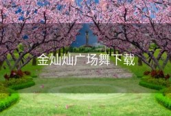 金灿灿广场舞下载